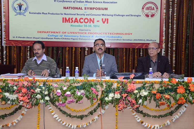 IMSACON-VI